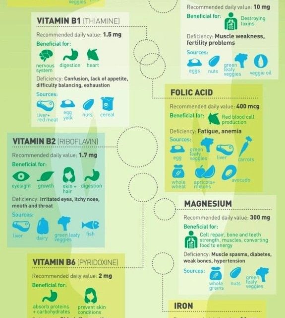 The Science of Vitamins and the Body