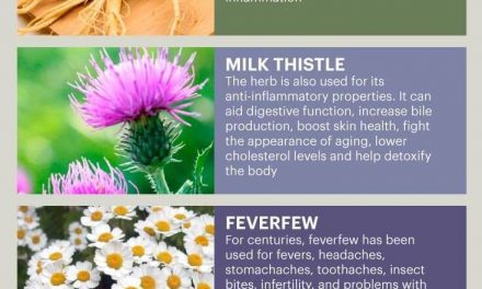 Herbal Medicine & the Top 10 Herbal Medicine Herbs – Dr. Axe