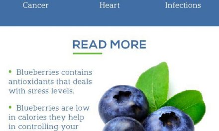 Amazing Benefits Of Blueberries For Skin, Hair, And Health