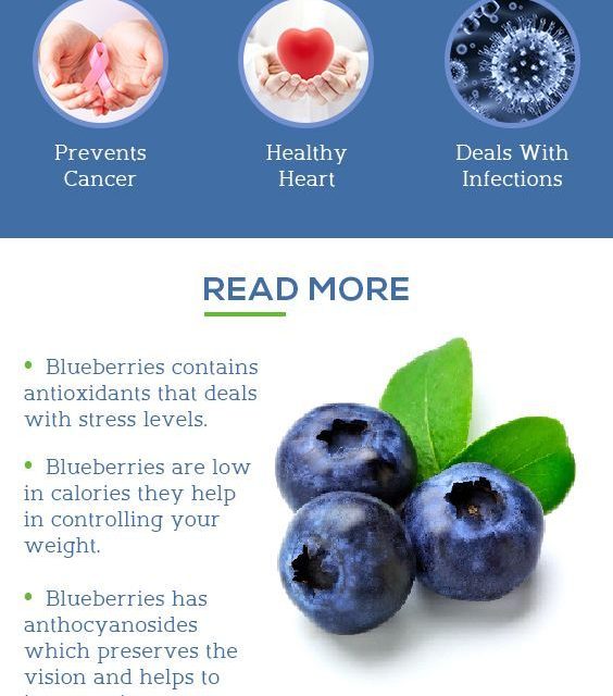 Amazing Benefits Of Blueberries For Skin, Hair, And Health » Last Minu