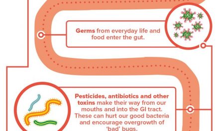 Gut health is so essential for your overall wellbeing and health of your body. D…