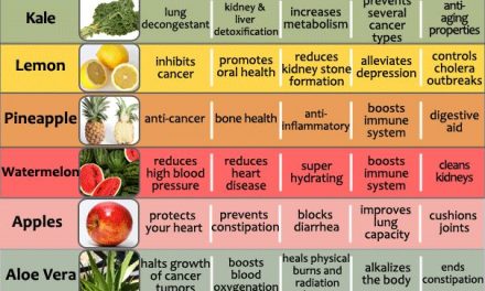 Awesome Amazing Health Benefits Of 20 Fruits And Vegetables