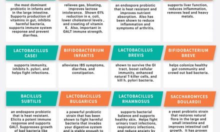 Probiotics Guide: Probiotic Benefits, Foods and Supplements  www.draxe.com #prob…