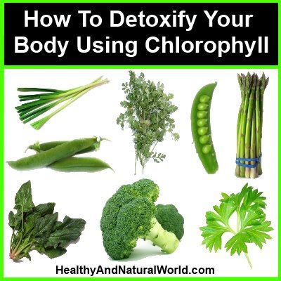 How To Detoxify Your Body Using Chlorophyll I actually take drops of Chlorophyll…