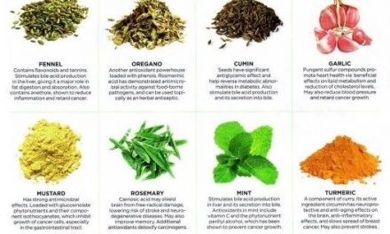 Wonderful chart highlighting the benefits of common spices and herbs! Heal yours…