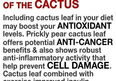 Including cactus leaf in your diet may boost your antioxidant levels. Cactus lea…