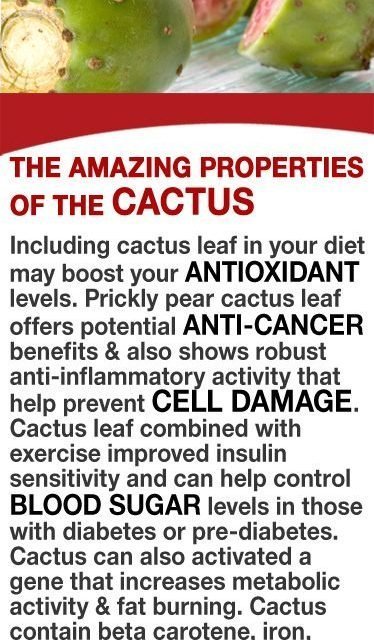 Including cactus leaf in your diet may boost your antioxidant levels. Cactus lea…