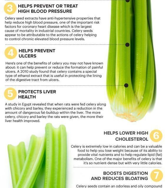 Celery is an excellent source of antioxidants and beneficial enzymes, in additio…
