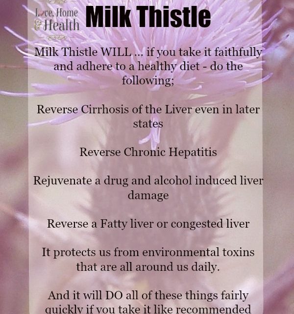 How To Improve Liver Function Naturally with Milk Thistle!