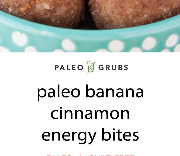 Cinnamon Banana Bread Energy Balls (ERMAHGERD!)