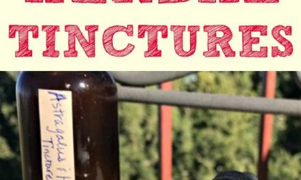 What is a Tincture? (How To Make and Use Herbal Tinctures)