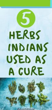 5 HERBS THE INDIANS USED AS A CURE