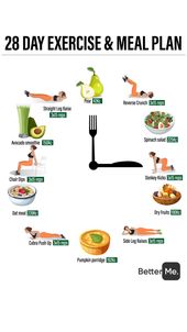 28 day exercise and meal plan