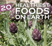 24 Healthiest Foods on Earth | Health Wholeness