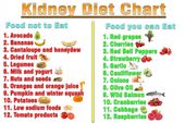 15 Best Foods for Kidney Repair: Healthy Kidney Tips