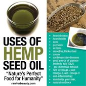 Benefits of Hemp Oil – Nutrition, Disease Prevention, and Skin Care – Third Monk