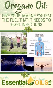 22 Different Ways That Oregano Essential Oil Can Improve Your Health And Your Life