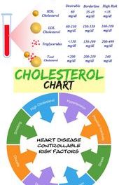 What are the Good Cholesterol Numbers | CholesterolLevels.net