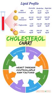 What are the Good Cholesterol Numbers | CholesterolLevels.net